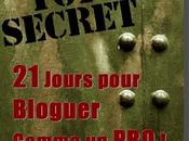 eBook Gratuit Jours pour Bloguer comme