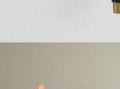 Moustiques grillés volonté