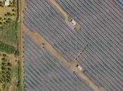 Agrinergie, énergie solaire cultures locales