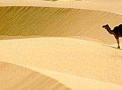 atelier d'écriture dans Sahara autres tentations