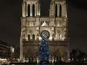 Notre Dame Paris photos sortie