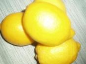 récap citronnés