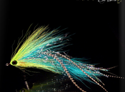 Baltic flies