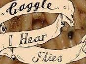 GAGGLE Hear Flies (7'')