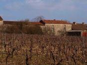 Château Lacapelle-Cabanac, l'incontournable