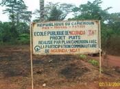 bilinguisme cameroun