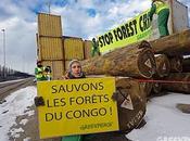 Greenpeace dénonce bois illégal stocké dans port d’Anvers