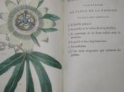 recueil plantes coloriées... Jean-Jacques Rousseau