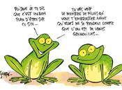 veut sauver grenouilles avec