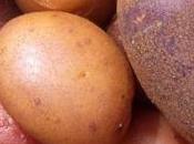 AMFLORA Comission européenne responsable pomme terre discorde
