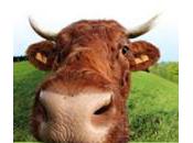 Salon l’agriculture 2010: comptoir sera