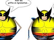 L'avis Héros Wolverine (Serval)