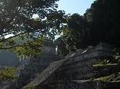Camino Maya: Palenque Ruines dans jungle