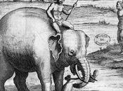 Asie/Thaïlande Exécution condamnés éléphants.