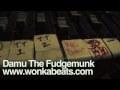 Damu Fudgemunk ‘How Should Sound’ Video Promo