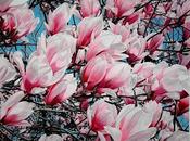 talus magnolias (Wang Wei)