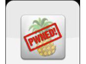 jailbreak firmware 3.1.3 faille dans Safari