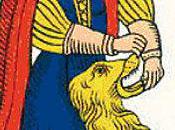 #11. FORCE. Yiannis Lhermet