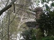 vadrouille dans capitale