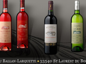 Connaissez-vous Régis Chaigne vigneron bordelais dans cyberspace...