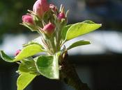 Bonjour Paul Géraldy