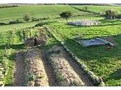 Paillage bois broyé partout