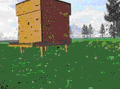 Bee-OH, réalité virtuelle service abeilles.