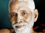 Ramana Maharshi 1950- 2010