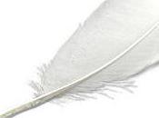 Citation, écriture blog