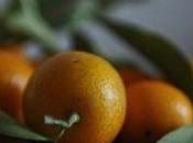 Tartare d&amp;rsquo;espadon kumquats