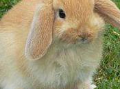 partage émotions aide guérir corps