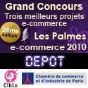 Palmes e-commerce 2010