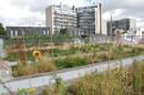 Trouver jardin potager paris, compostage potagers Ecolo-ville Ecologie urbaine