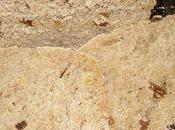 Pain blanc noix-figues-raisins-pruneaux