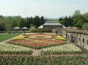 Biltmore Estate Festival Flowers 2010