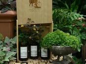 Biltmore Estate Winery: 25th Anniversary