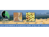 vergers l'Ile France, l'approvisionnement fruits locaux
