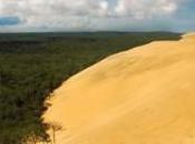 Excursion dune Pyla