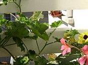 Spécial Saint-Blaise: nature