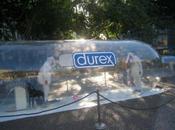 Durex: étudiants poil contre Sida