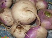 Navets Confits