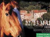 4ème édition Fête cheval Ocana week-end.