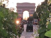 exclusivité dans coulisses Nature Capitale Suite