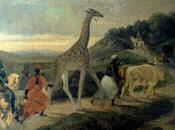 Girafe offerte Charles traverse Arnay pied Octobre 1827