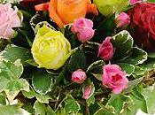 Conserver votre bouquet fête Mères