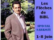 Flèches BiBi (Spécial Sarkozy).