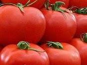 tomate:Son origine nord ouest l'Amérique