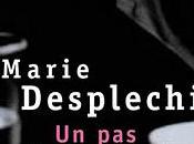 plus Marie Desplechin