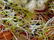 Salade boulghour, radis, graines germées sauce chèvre