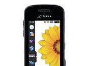 Journée d'abondance